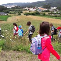 actividades escolares